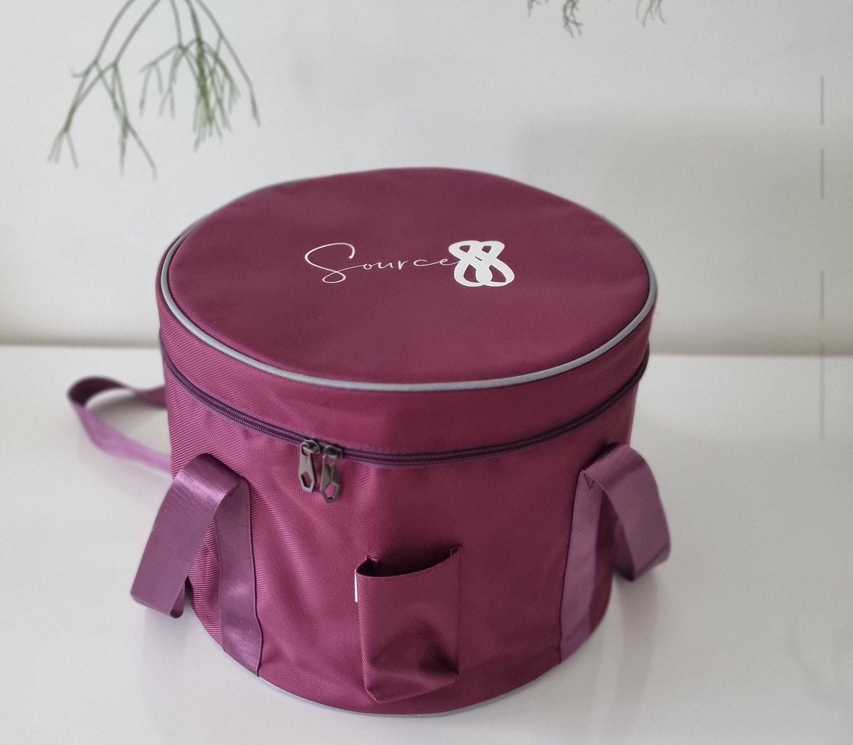 1 x Padded Carry Bag for Set of 4 Crystal Singing Bowls
